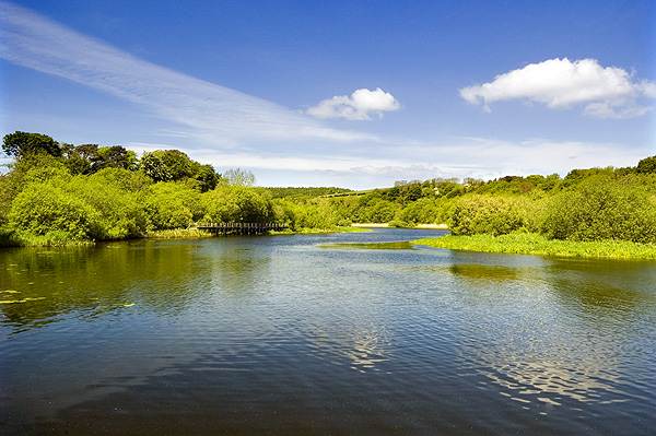 Quoile River